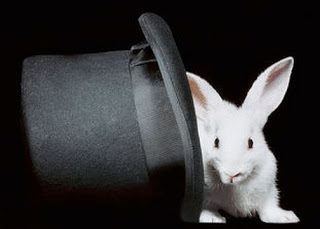 A white rabbit sitting next to a black hat.